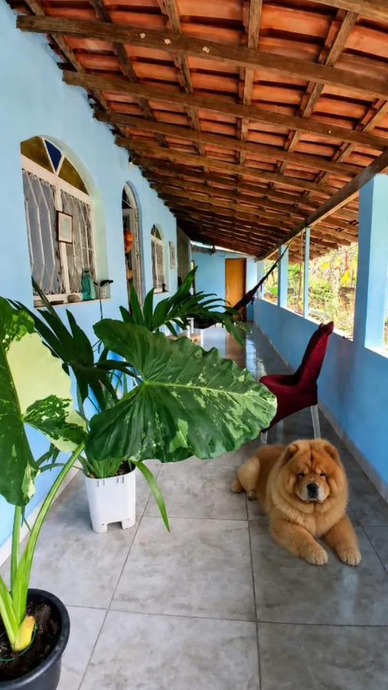 Chácara, 3 quartos, 2500 m² - Foto 4