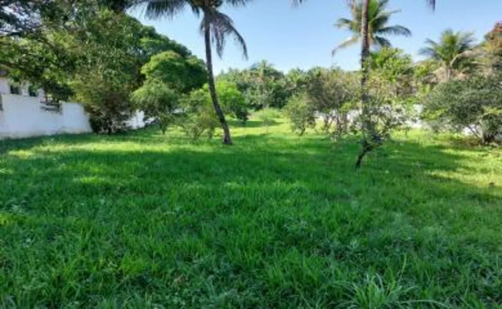 Chácara, 1 quarto, 1800 m² - Foto 4