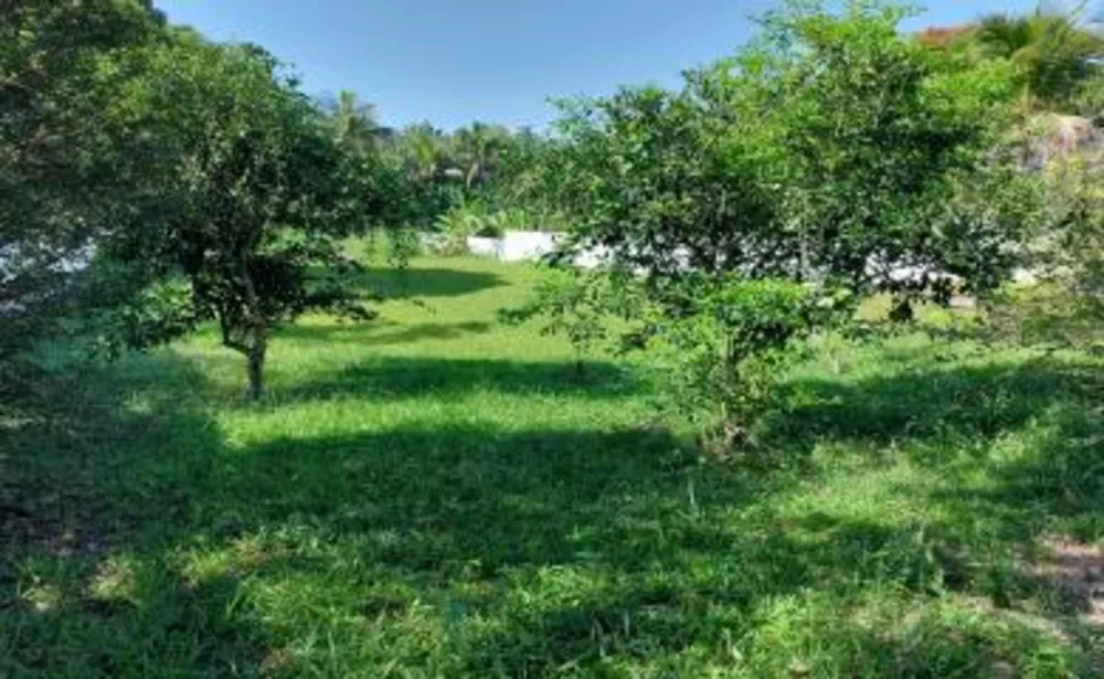 Chácara, 1 quarto, 1800 m² - Foto 6