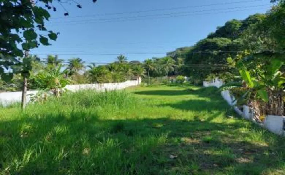 Chácara, 1 quarto, 1800 m² - Foto 7