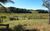 Fazenda-Sítio-Chácara, 21 hectares - Foto 4