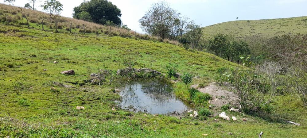 Fazenda à venda com 2 quartos, 20000m² - Foto 4