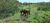Fazenda, 2 hectares - Foto 3