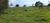 Fazenda, 2 hectares - Foto 6