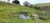 Fazenda, 2 hectares - Foto 4