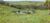 Fazenda, 2 hectares - Foto 10
