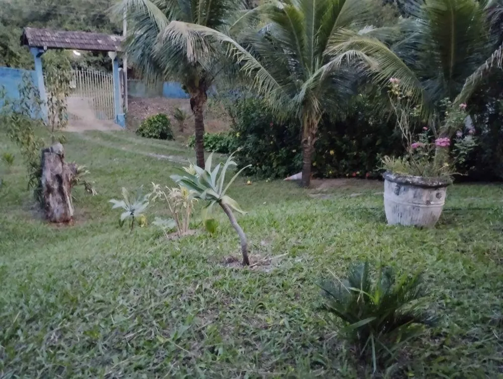 Sítio, 2 quartos, 10000 m² - Foto 3