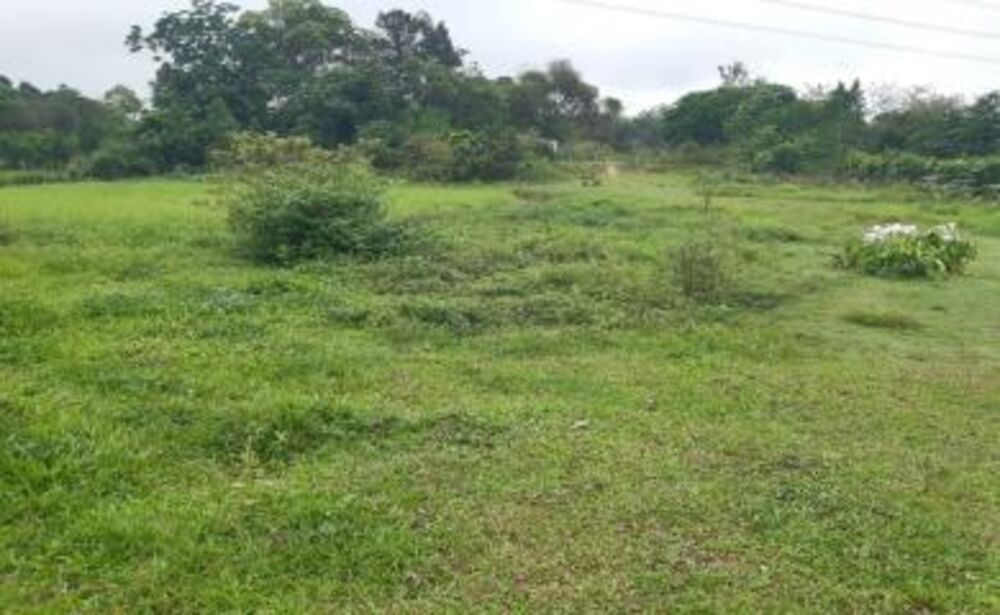 Sítio à venda com 4 quartos, 15000m² - Foto 3