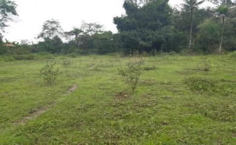 Sítio, 4 quartos, 2 hectares - Foto 10