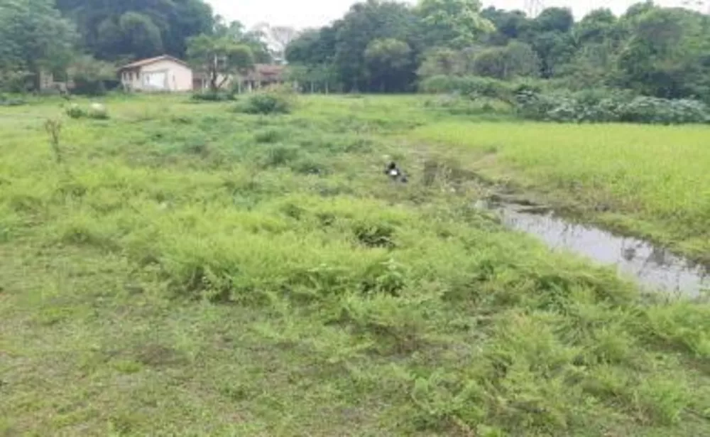Sítio, 4 quartos, 2 hectares - Foto 4