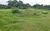 Sítio, 4 quartos, 2 hectares - Foto 3