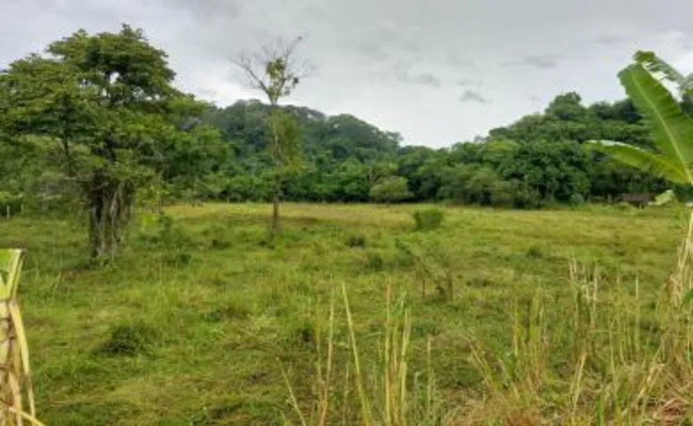 Sítio, 3 quartos, 17 hectares - Foto 9