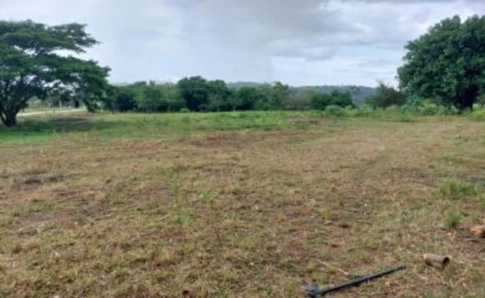 Sítio, 3 quartos, 17 hectares - Foto 7