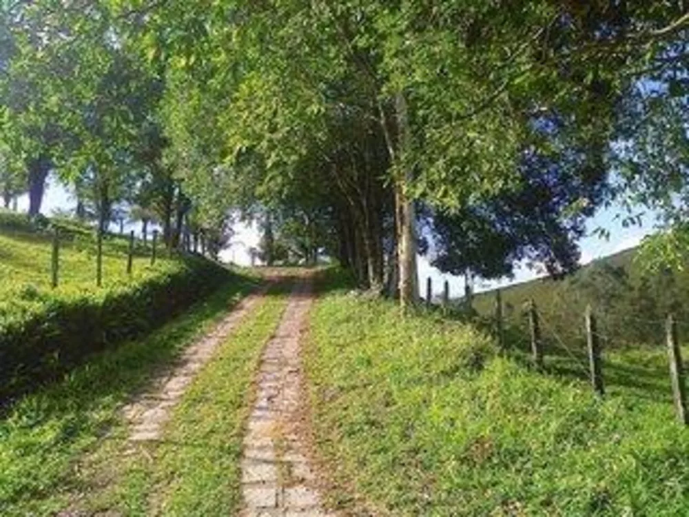 Fazenda-Sítio-Chácara, 110 m² - Foto 13