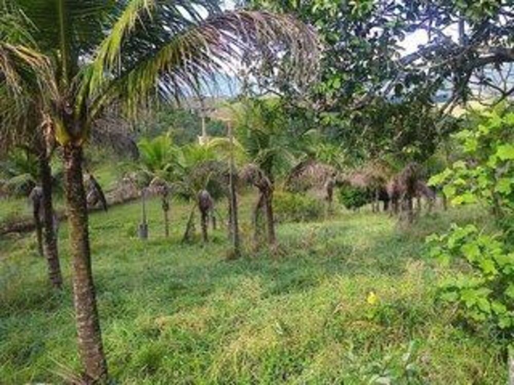 Fazenda-Sítio-Chácara, 110 m² - Foto 29