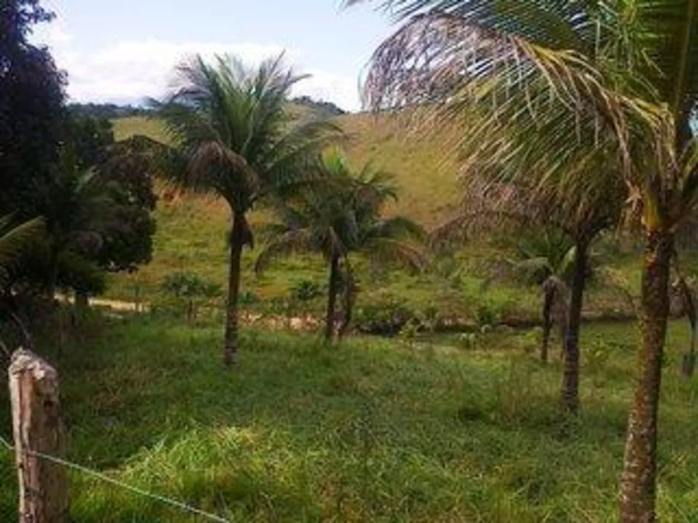 Fazenda-Sítio-Chácara, 110 m² - Foto 25