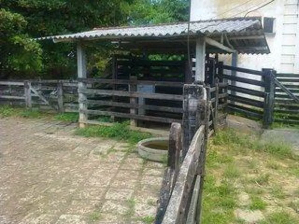 Fazenda-Sítio-Chácara, 110 m² - Foto 3