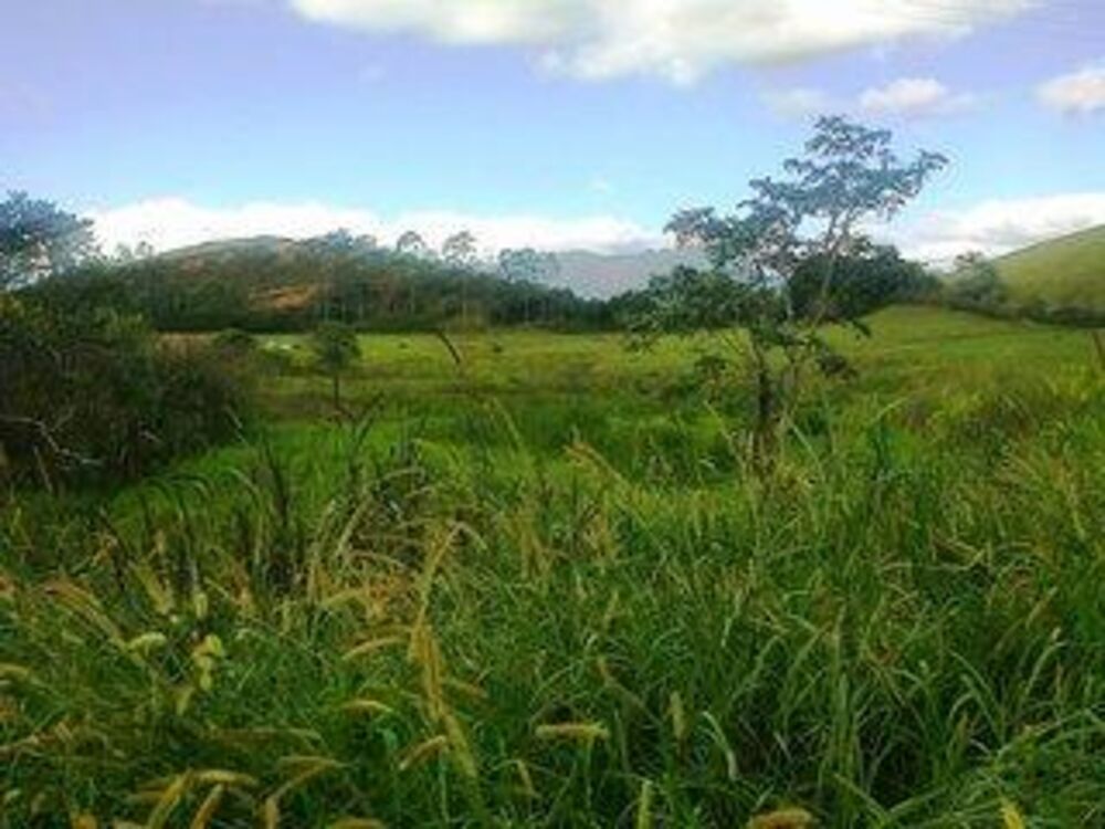 Fazenda-Sítio-Chácara, 110 m² - Foto 28