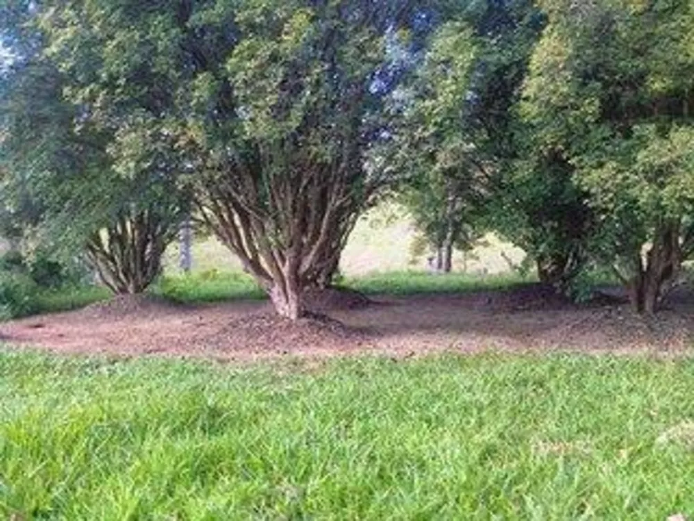 Fazenda-Sítio-Chácara, 110 m² - Foto 32