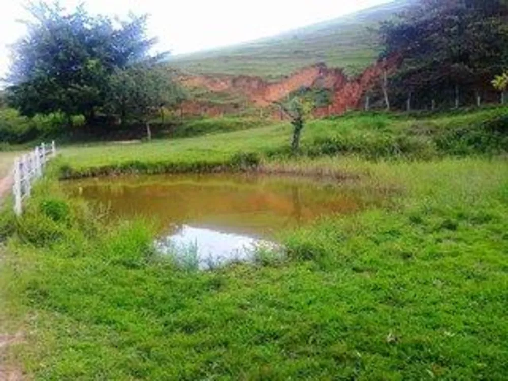 Fazenda-Sítio-Chácara, 110 m² - Foto 9