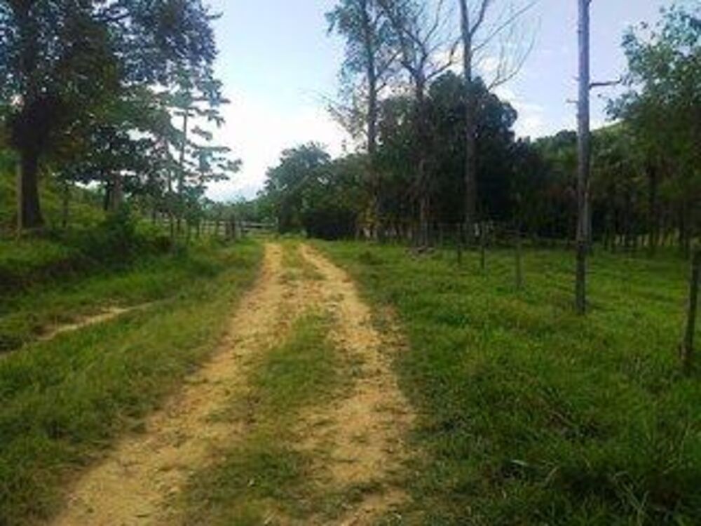 Fazenda-Sítio-Chácara, 110 m² - Foto 8