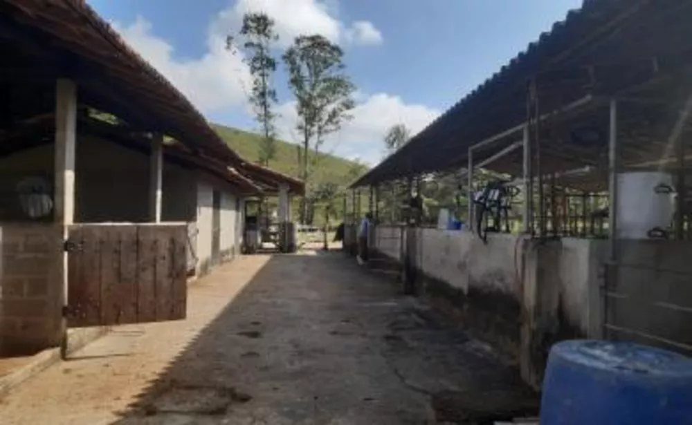Sítio, 4 quartos, 7 hectares - Foto 11