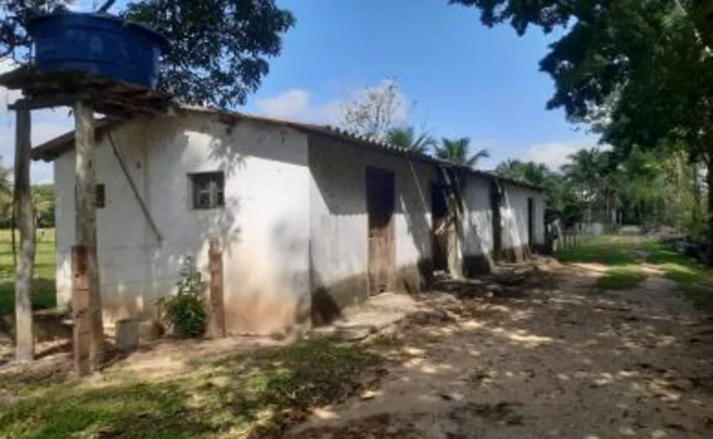 Sítio, 4 quartos, 7 hectares - Foto 9