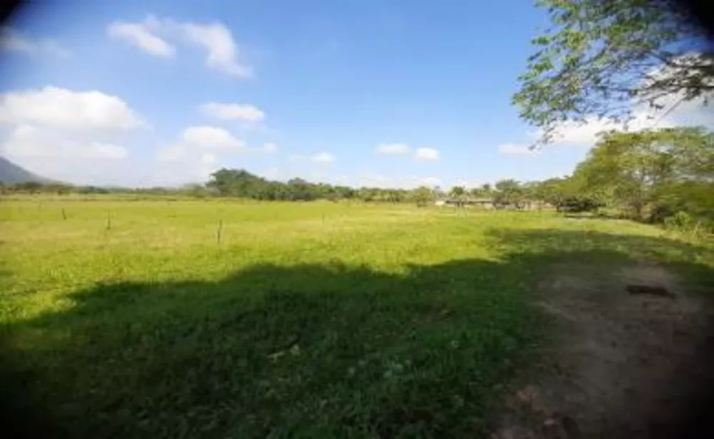 Sítio, 4 quartos, 7 hectares - Foto 17