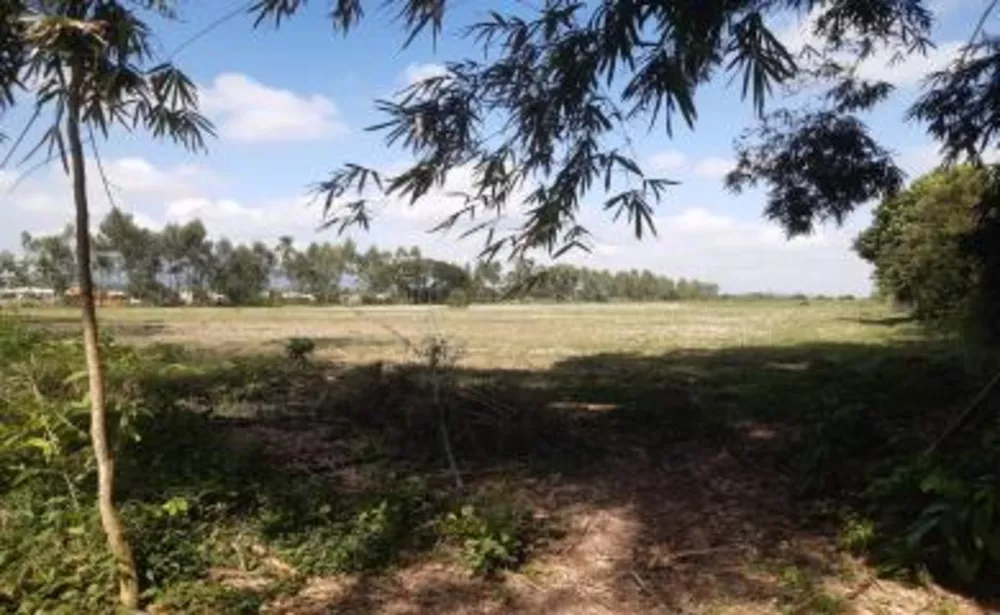 Sítio, 4 quartos, 7 hectares - Foto 15