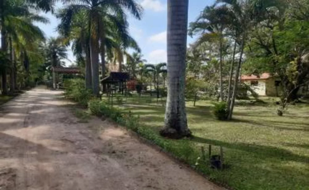 Sítio, 4 quartos, 7 hectares - Foto 14