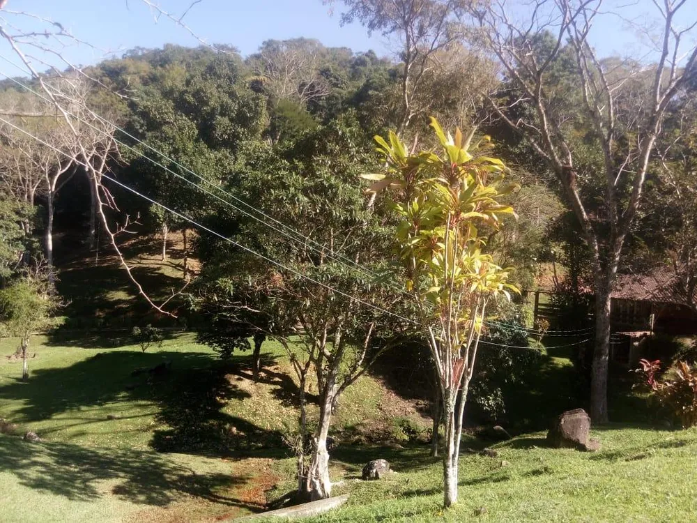 Sítio, 4 quartos, 24 hectares - Foto 20