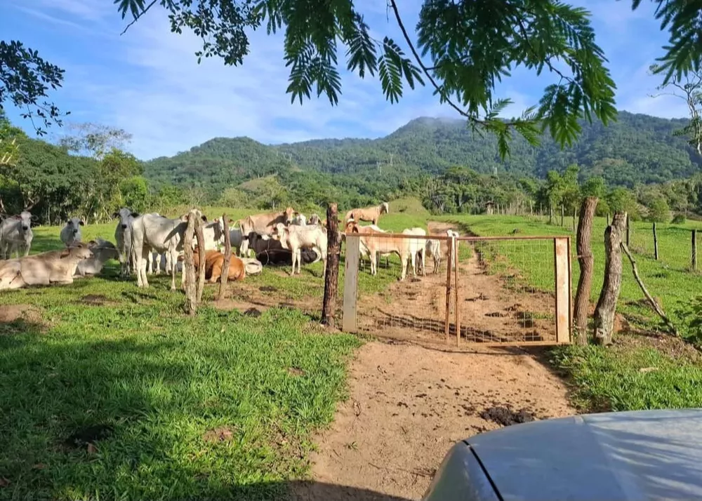 Fazenda, 260 m² - Foto 8