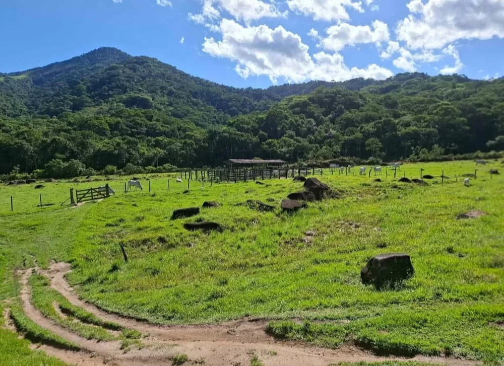 Fazenda, 260 m² - Foto 12