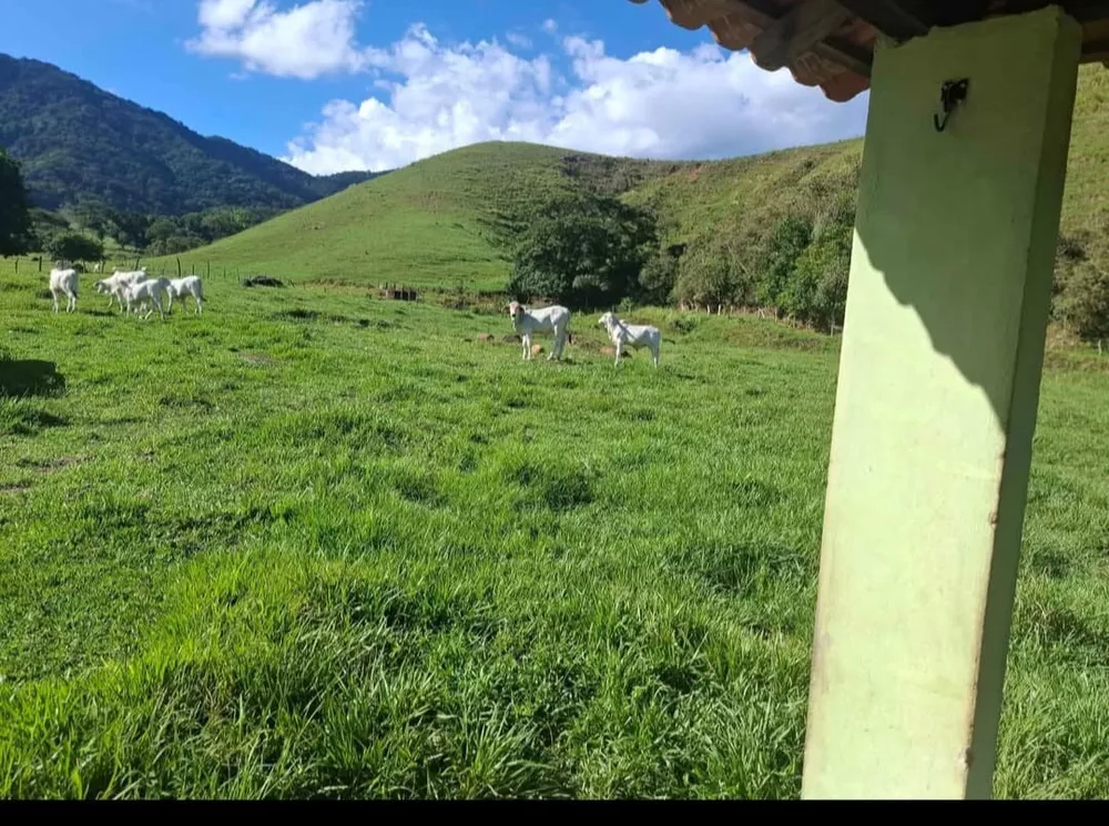 Fazenda, 260 m² - Foto 14