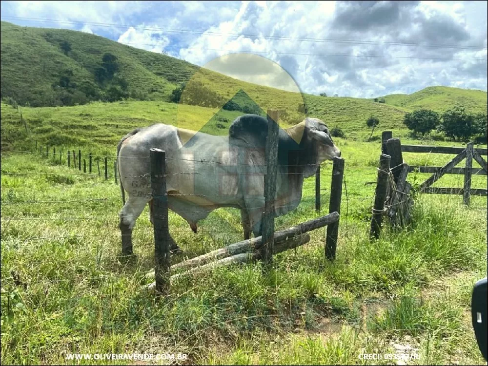 Fazenda, 480 m² - Foto 6