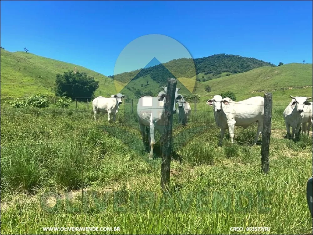 Fazenda, 480 m² - Foto 5