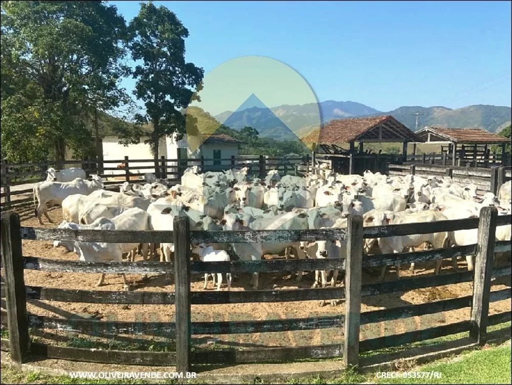 Fazenda, 480 m² - Foto 1