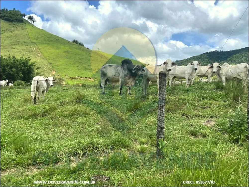 Fazenda, 480 m² - Foto 8
