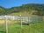 Sítio, 2 quartos, 22 hectares - Foto 4
