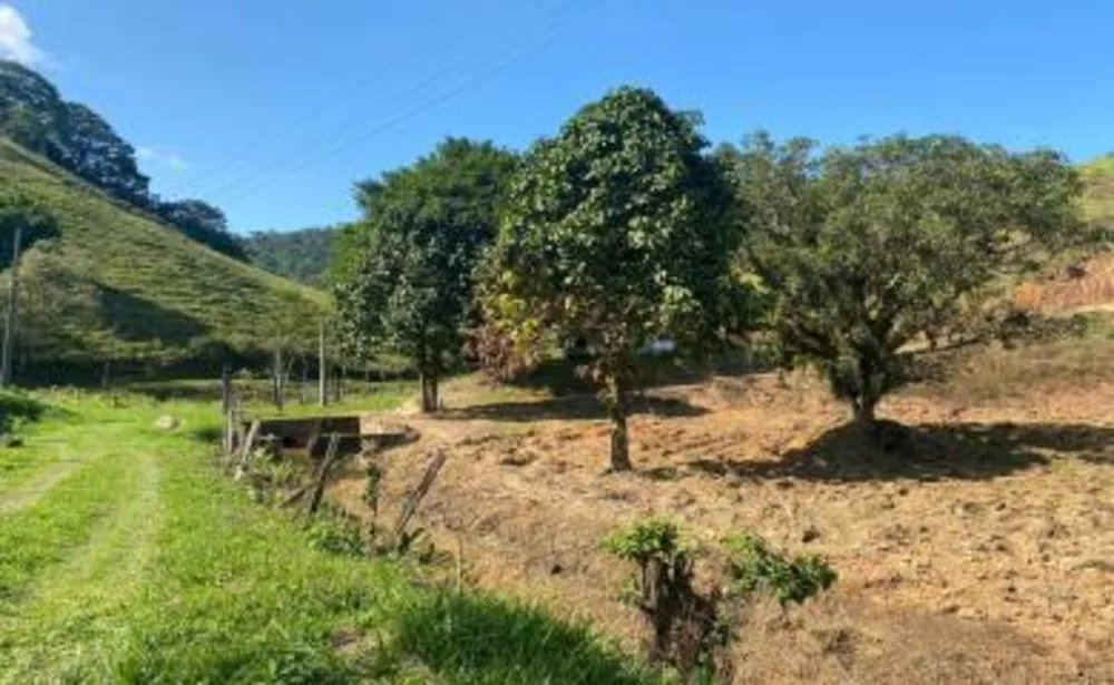 Sítio, 2 quartos, 5 hectares - Foto 6