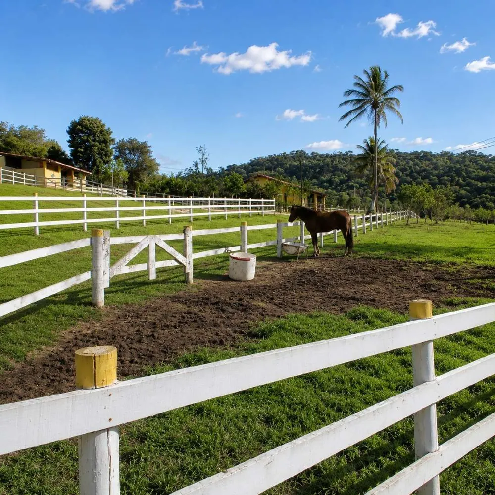 Fazenda, 13 m² - Foto 15