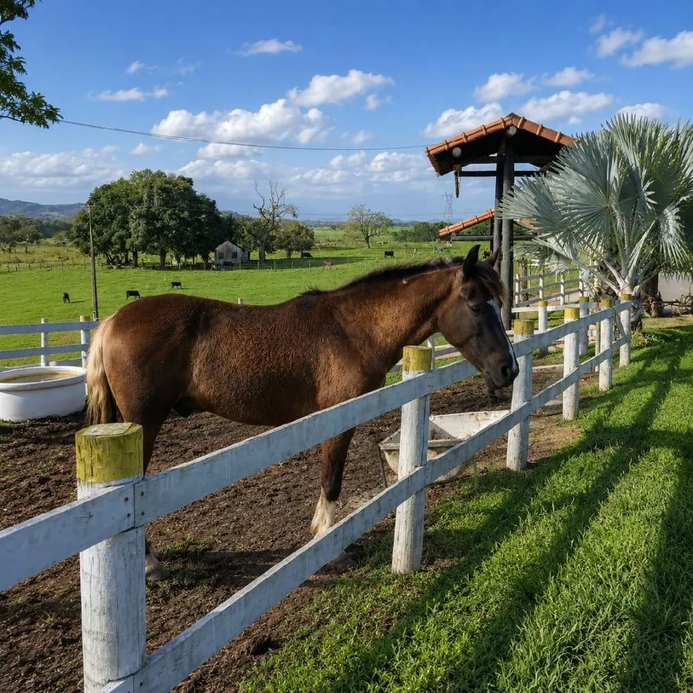 Fazenda, 13 m² - Foto 2