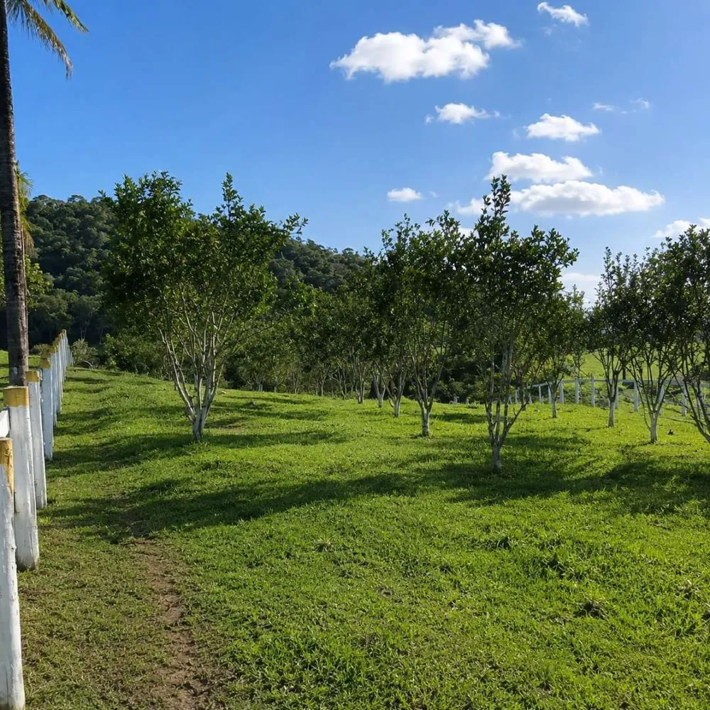 Fazenda, 13 m² - Foto 25