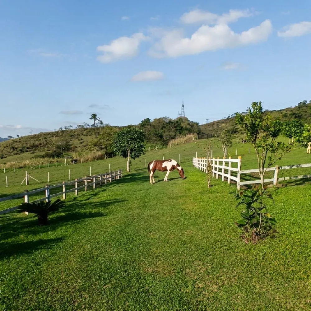 Fazenda, 13 m² - Foto 38