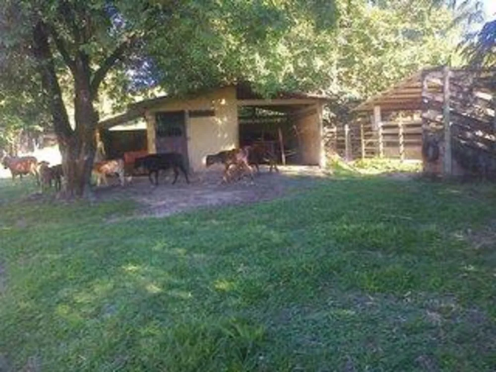 Sítio, 3 quartos, 17 hectares - Foto 4