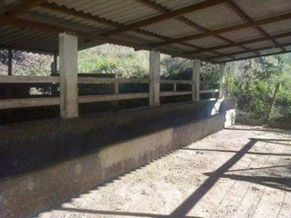 Sítio, 3 quartos, 17 hectares - Foto 7
