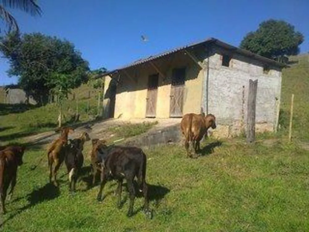Sítio, 3 quartos, 17 hectares - Foto 10