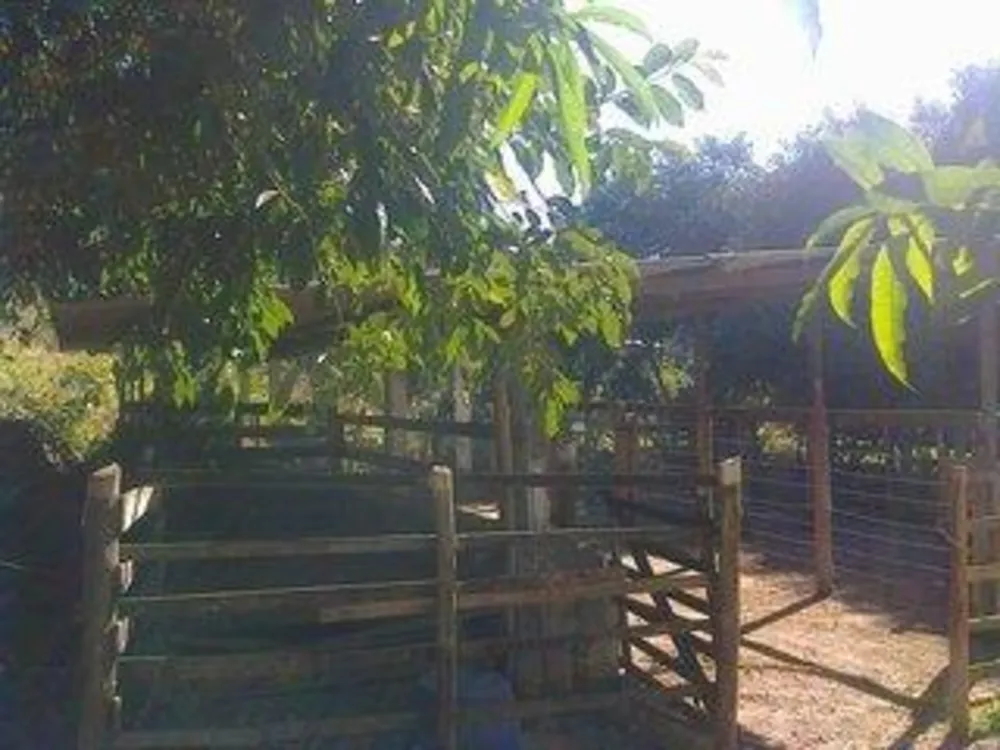 Sítio, 3 quartos, 17 hectares - Foto 9