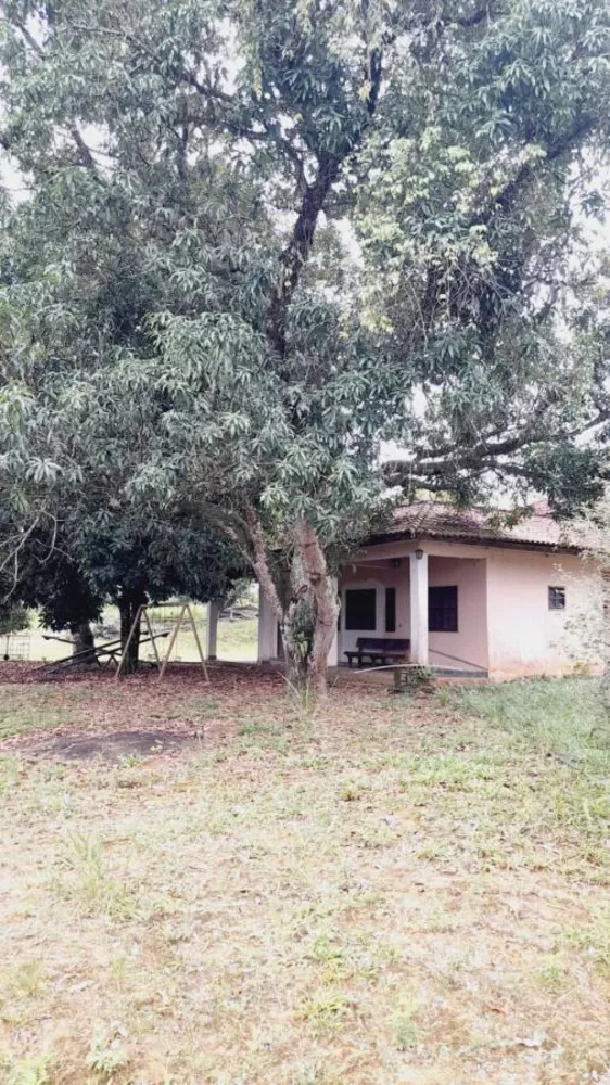 Sítio, 4 quartos, 5 hectares - Foto 10