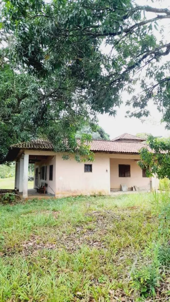 Sítio, 4 quartos, 5 hectares - Foto 11